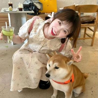心动的信号第七季