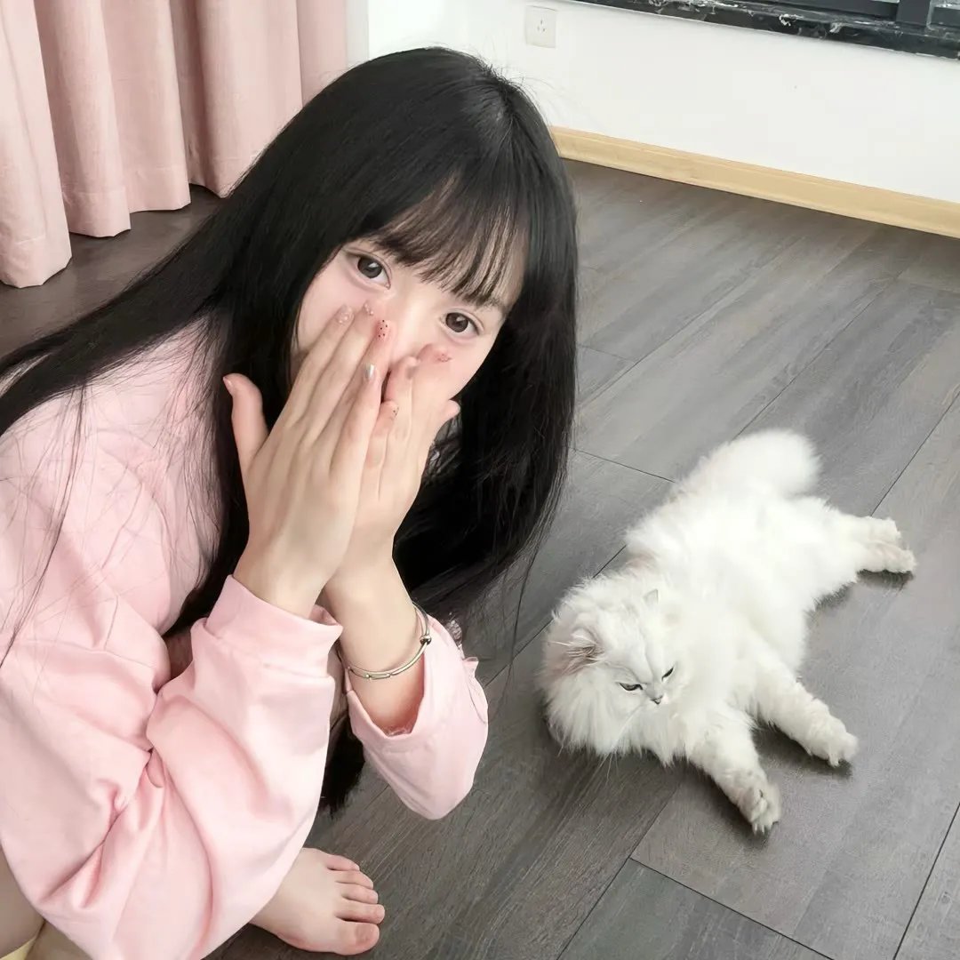 铁狮玉玲珑2